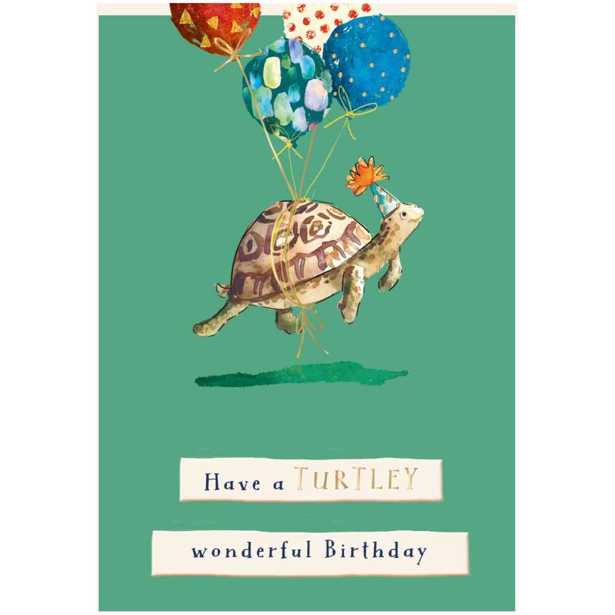 Turtley Wonderful Birthday, Wilf And Alfie, Greeting Card