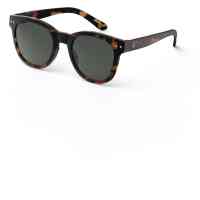 n sun tortoise sunglasses1