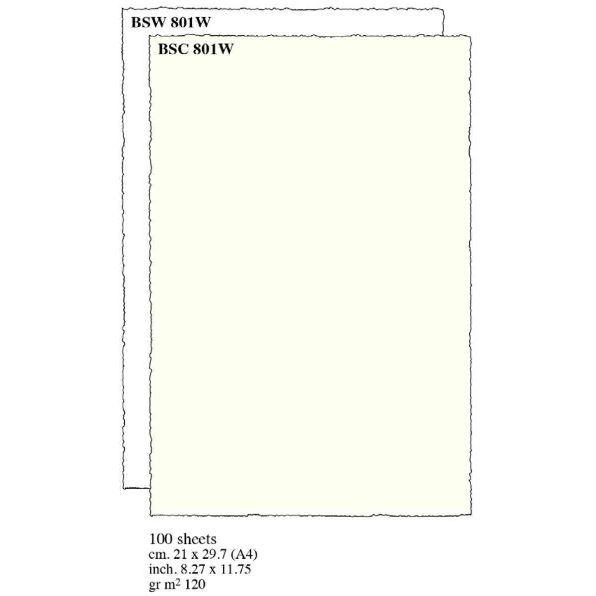 Deckled Sheets cm.21x29,7 A4 (x100) - BSC 801W