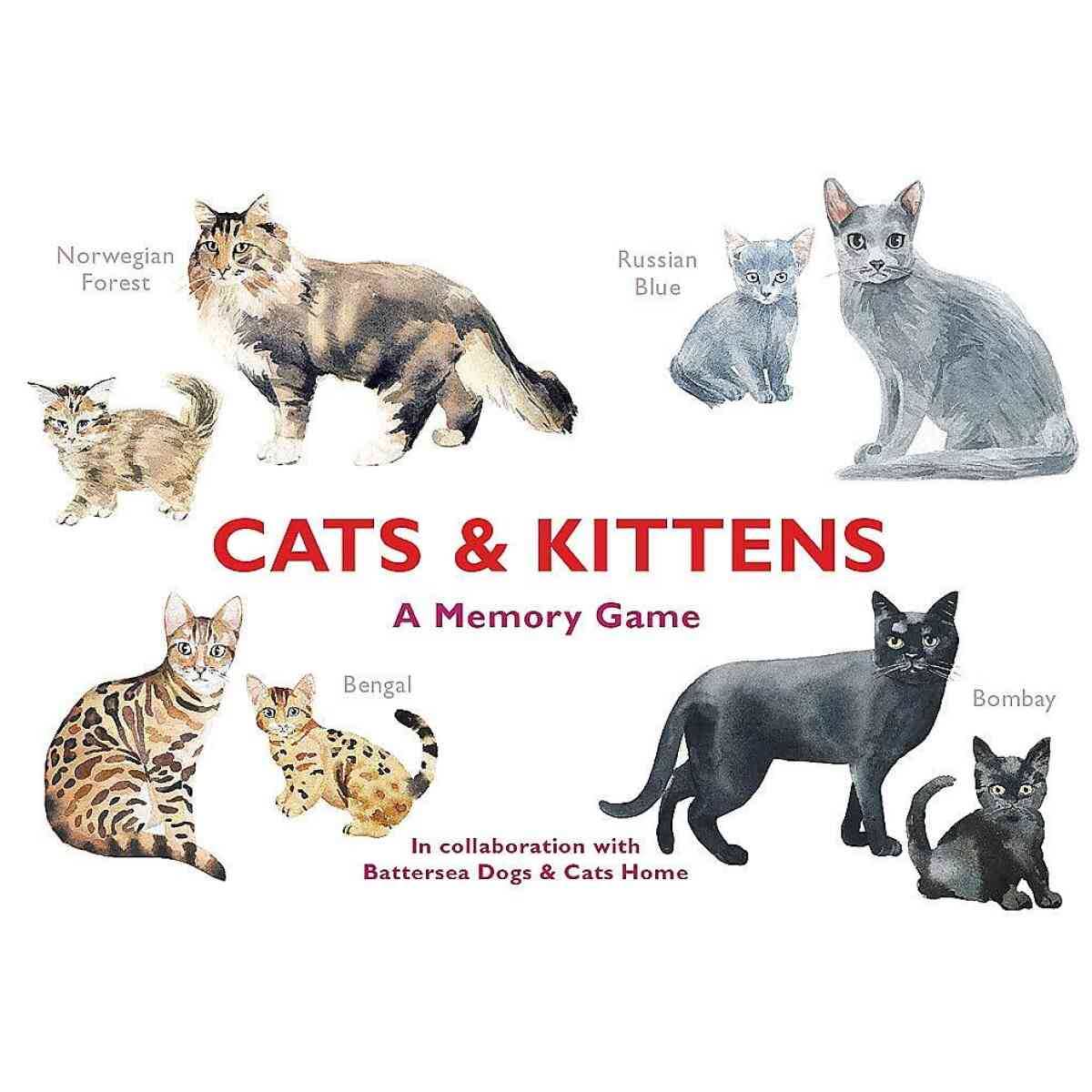 Cats & Kittens A Memory Game