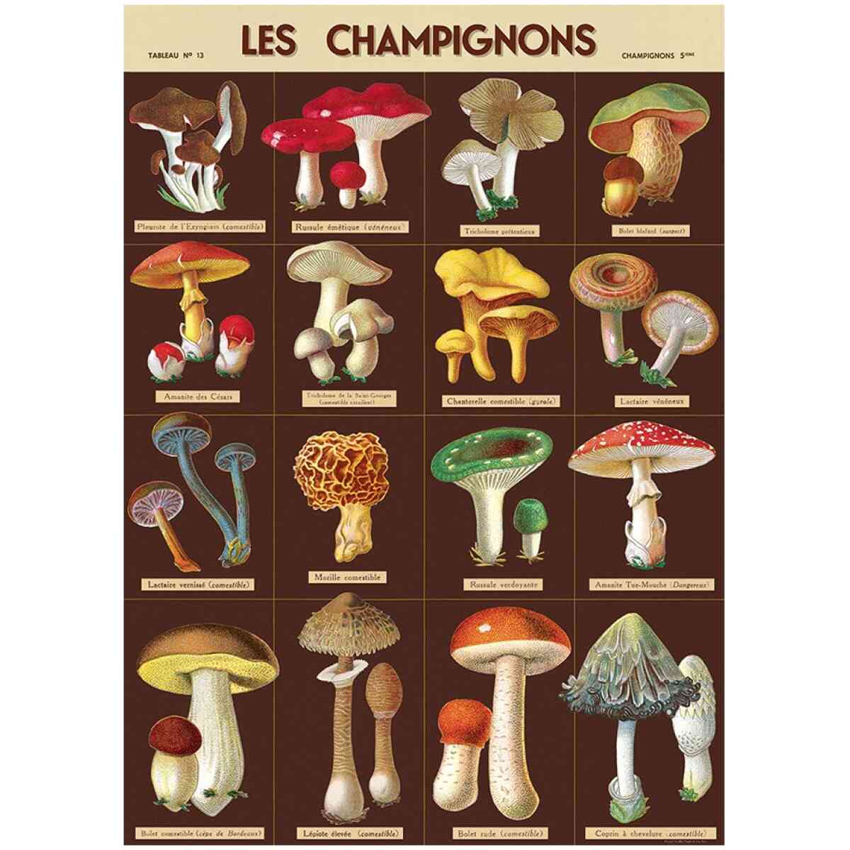 Les Champignons Wrap - Poster