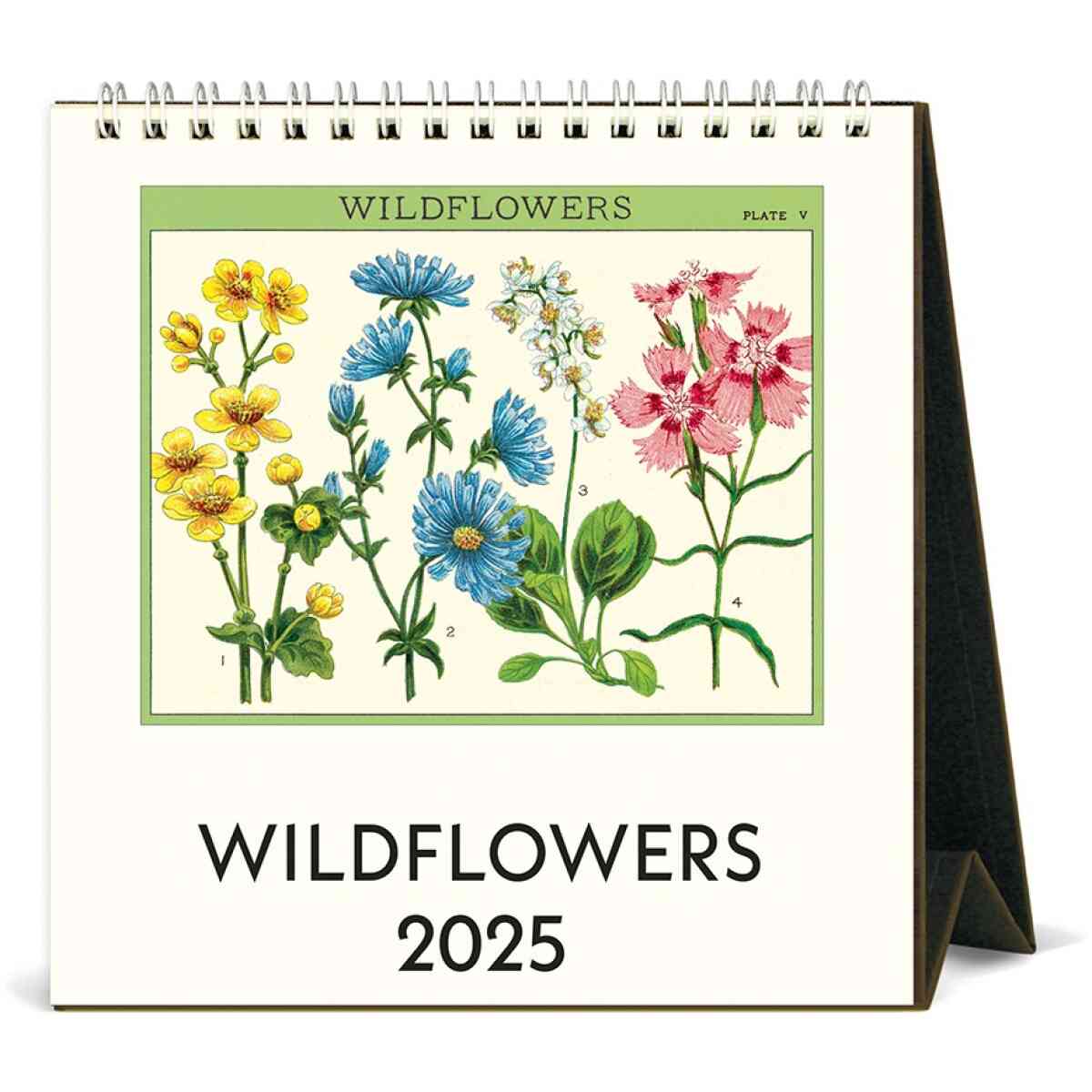 cal25 24 wildflowers desk l