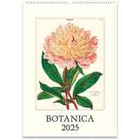 cal25 29 botanica wall l