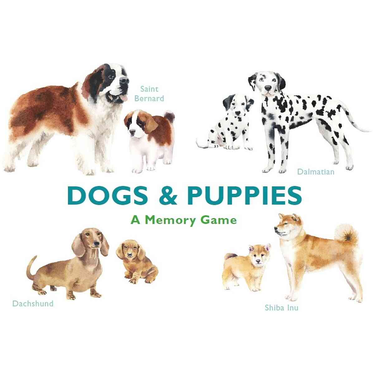 Dogs & Puppies: A Memory Game