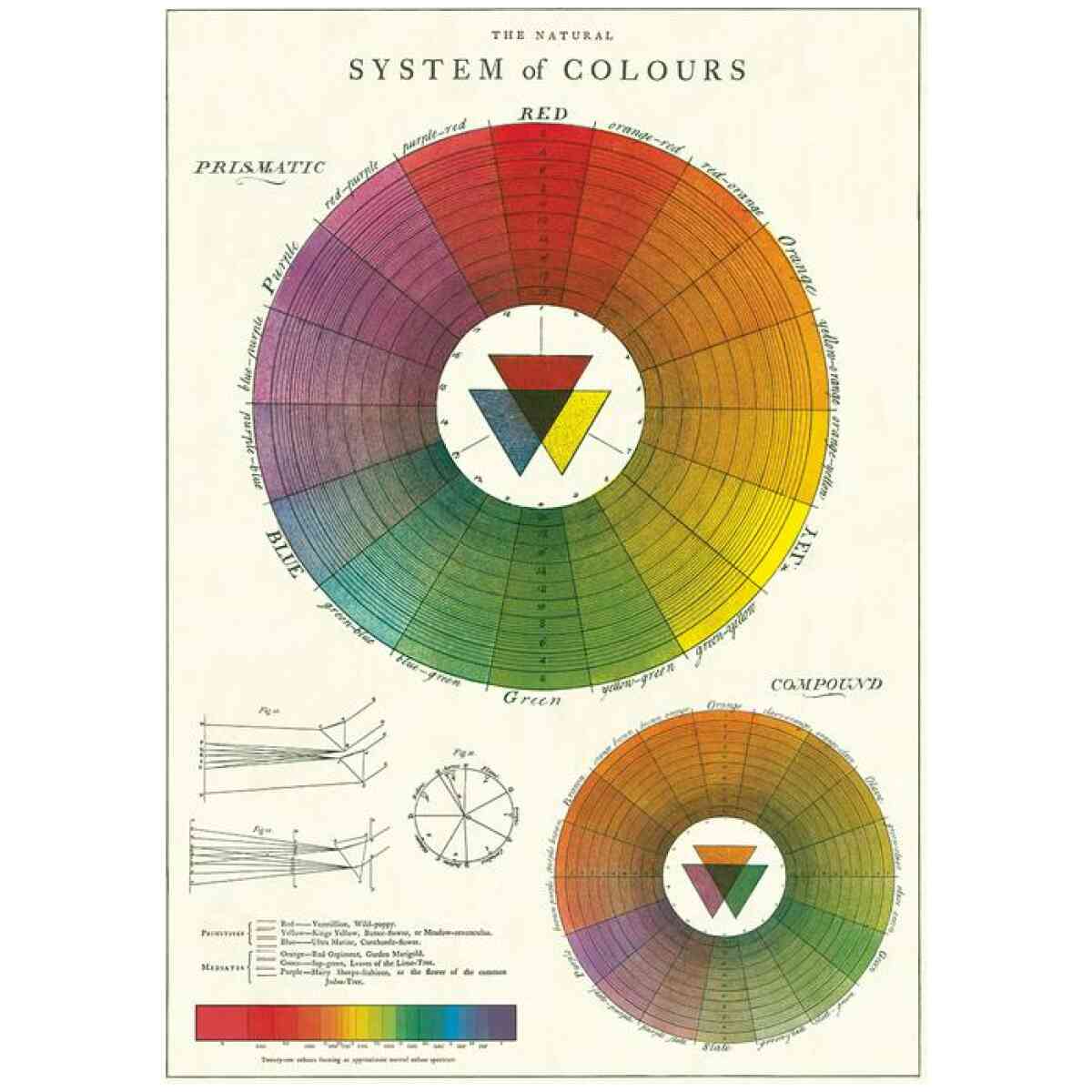 The Natural System of Colours - Poster