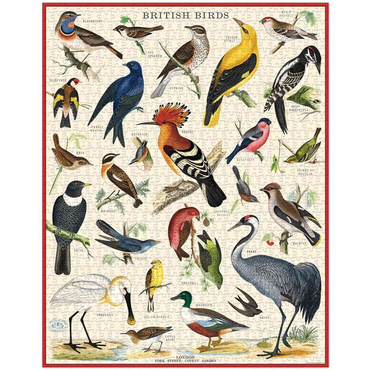 Cavallini & Co. British Birds 1,000 Piece Puzzle - Bild 2