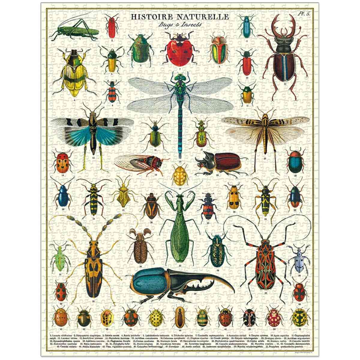 Cavallini & Co. Bugs & Insects 1000 bitar pussel - Bild 2