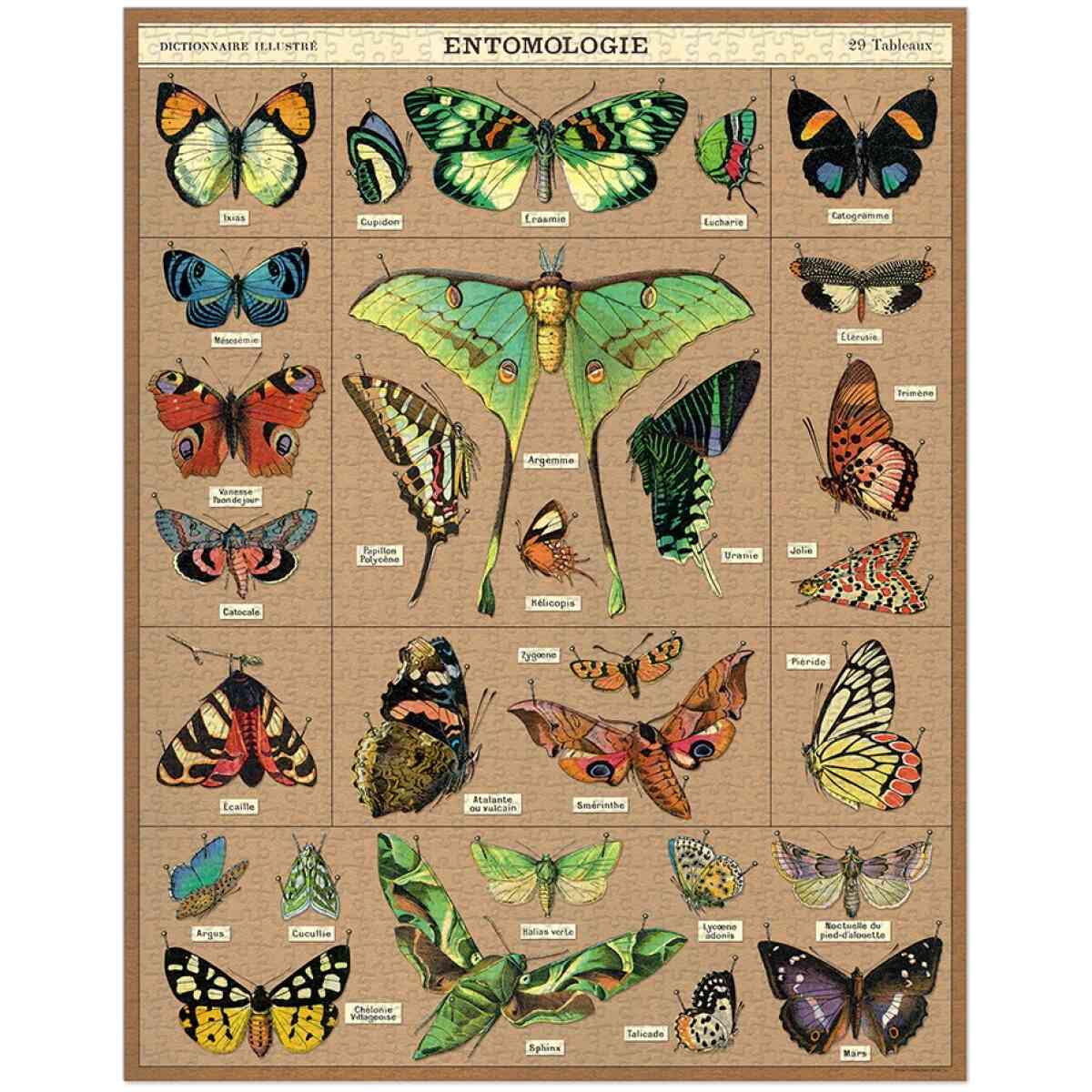 Cavallini & Co. Entomology 1,000 Piece Puzzle - Bild 2