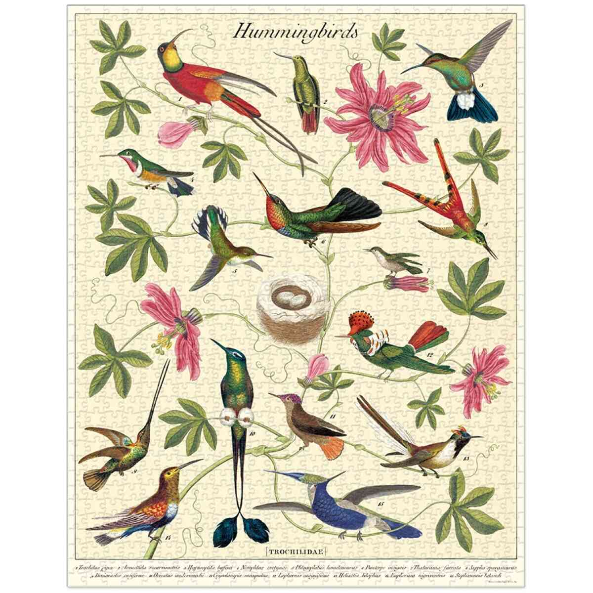 Cavallini & Co. Hummingbirds 1000 bitar pussel - Bild 2