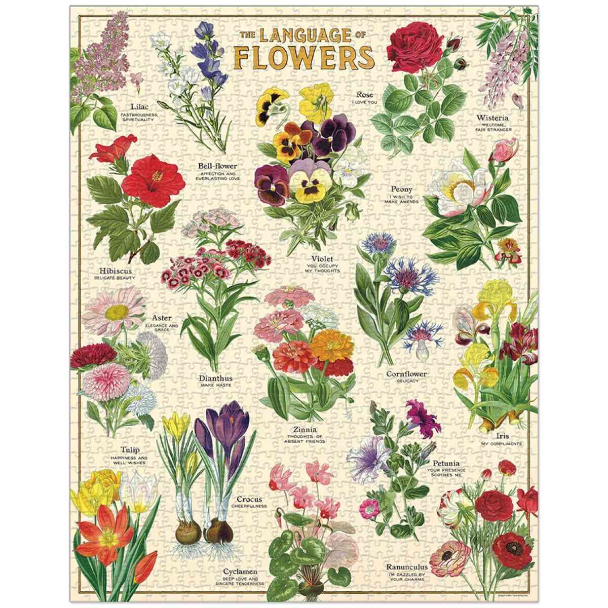 Cavallini & Co. Language of Flowers 1,000 Piece Puzzle - Bild 2