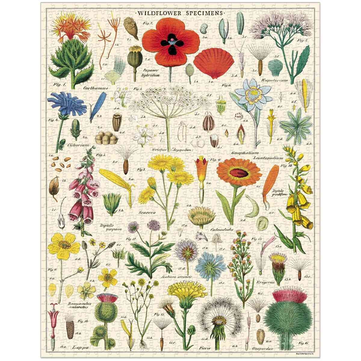 Cavallini & Co. Wildflowers 1000 bitar pussel - Bild 2