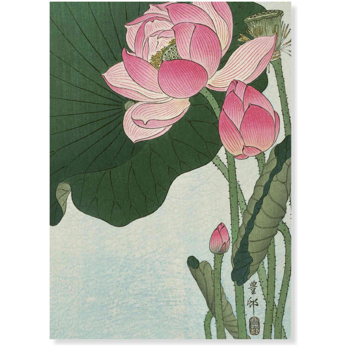 Blooming Lotus, Ohara Koson, Greeting Card