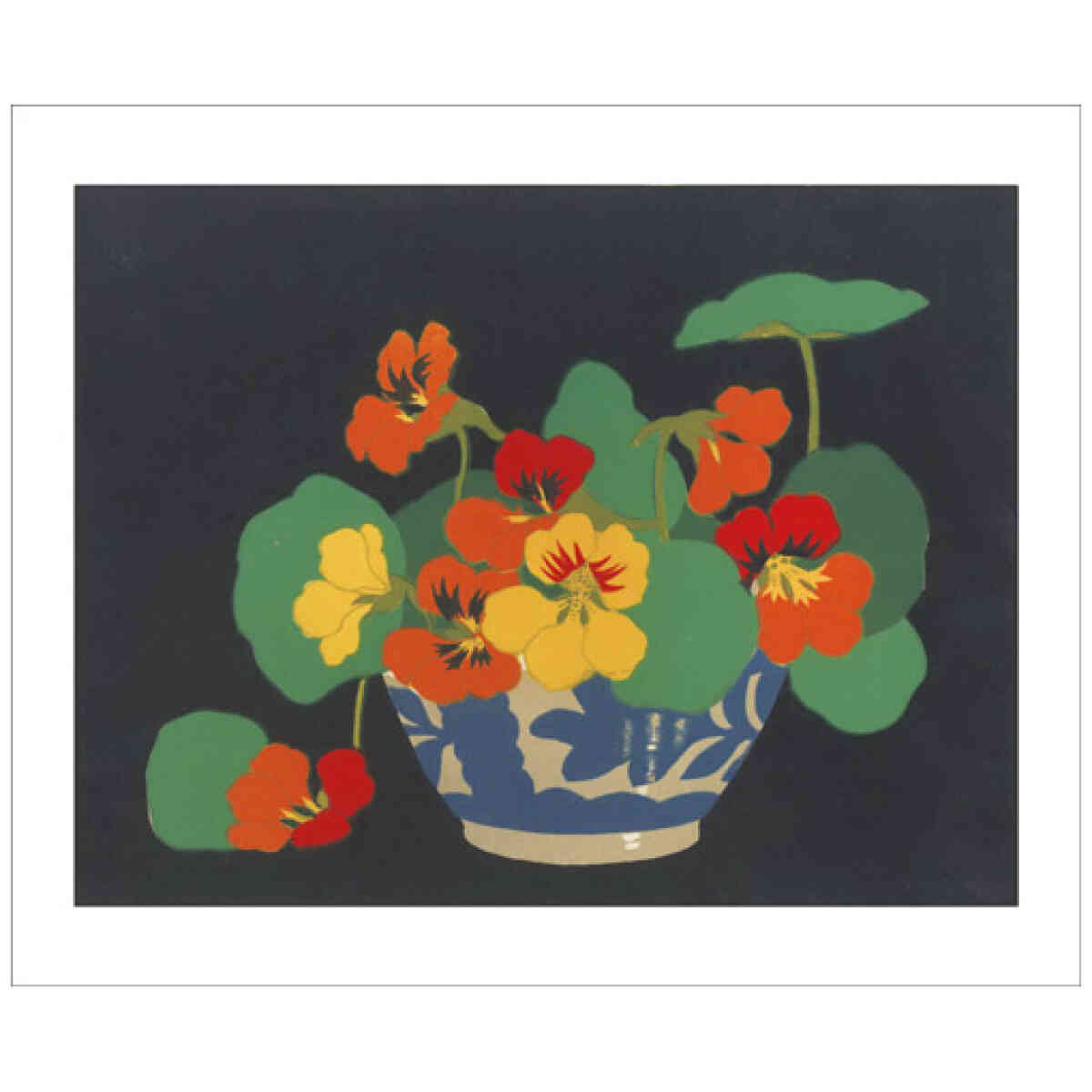 NC J.H.Thorpe/Nasturtiums