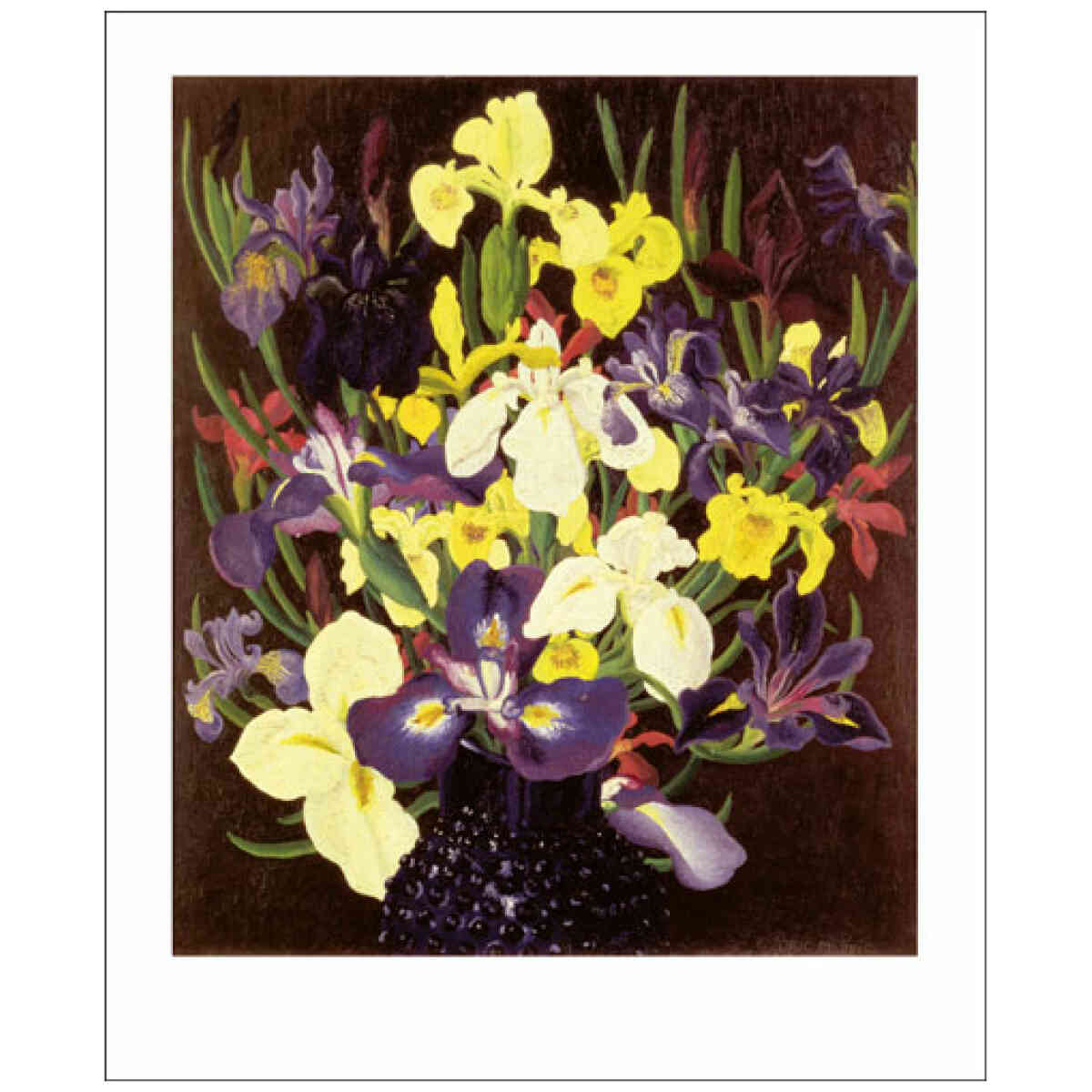 Group of Irises