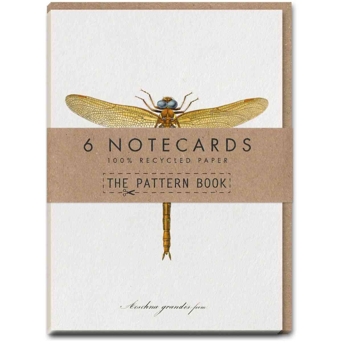 Charpentier Dragonfly Notecard Set - Bild 2