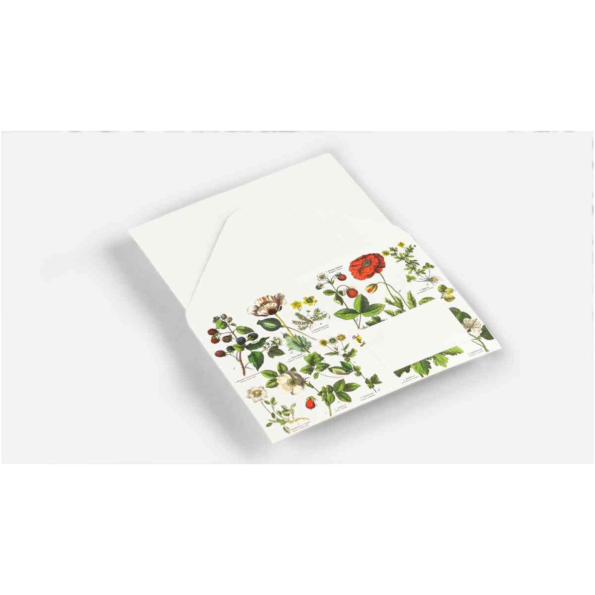 Botanical, C6 Envelopes - Bild 2