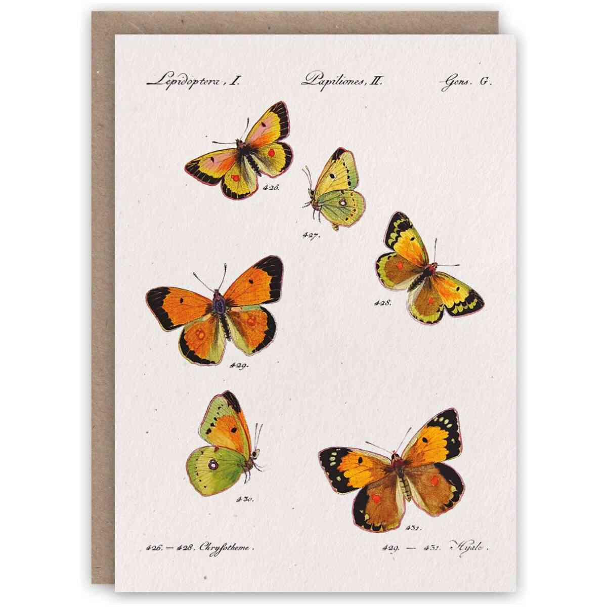 Hübner Butterflies Notecard Set