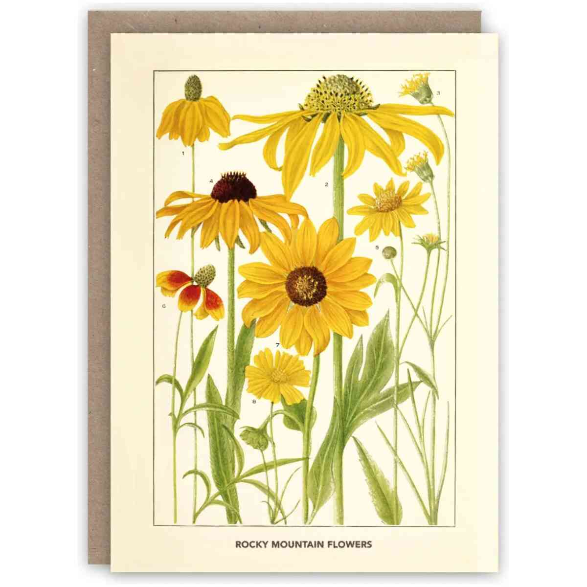 Rocky Mountain Flowers Notecard Set