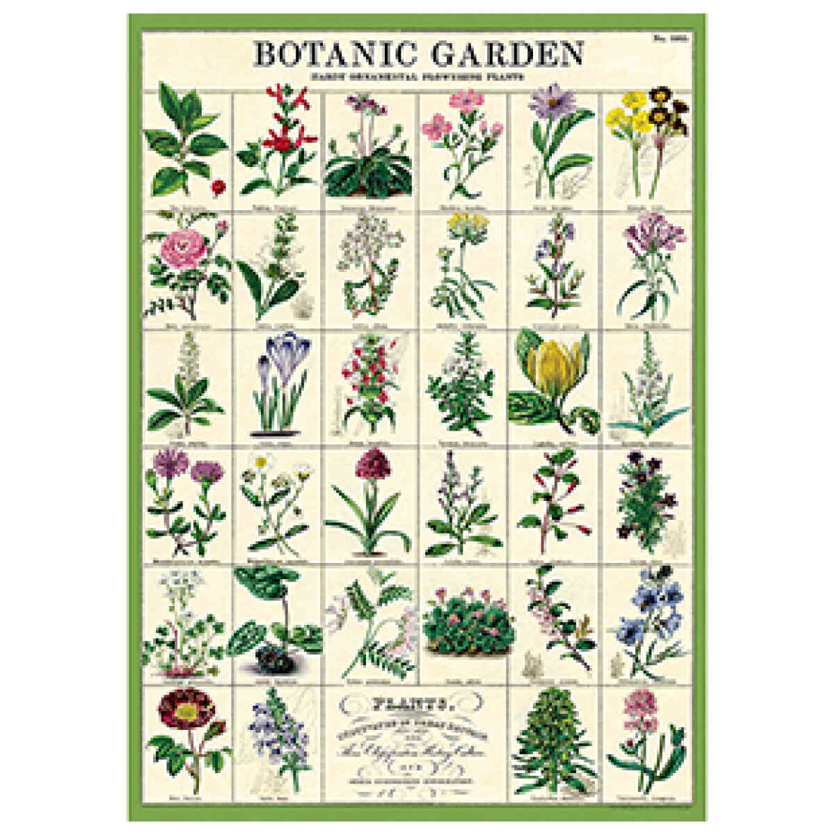 Botanic Garden - Poster