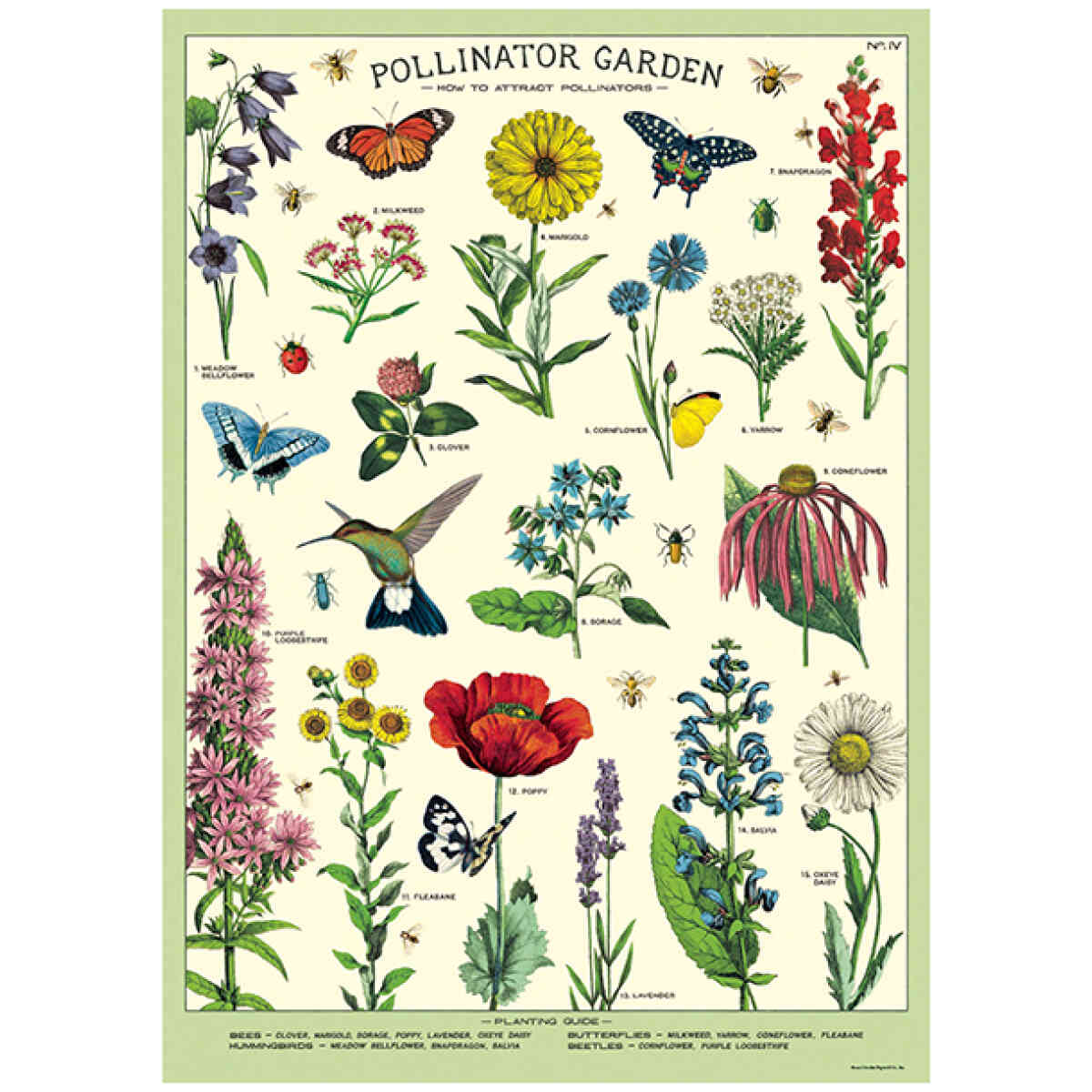 Pollinator Garden - Poster