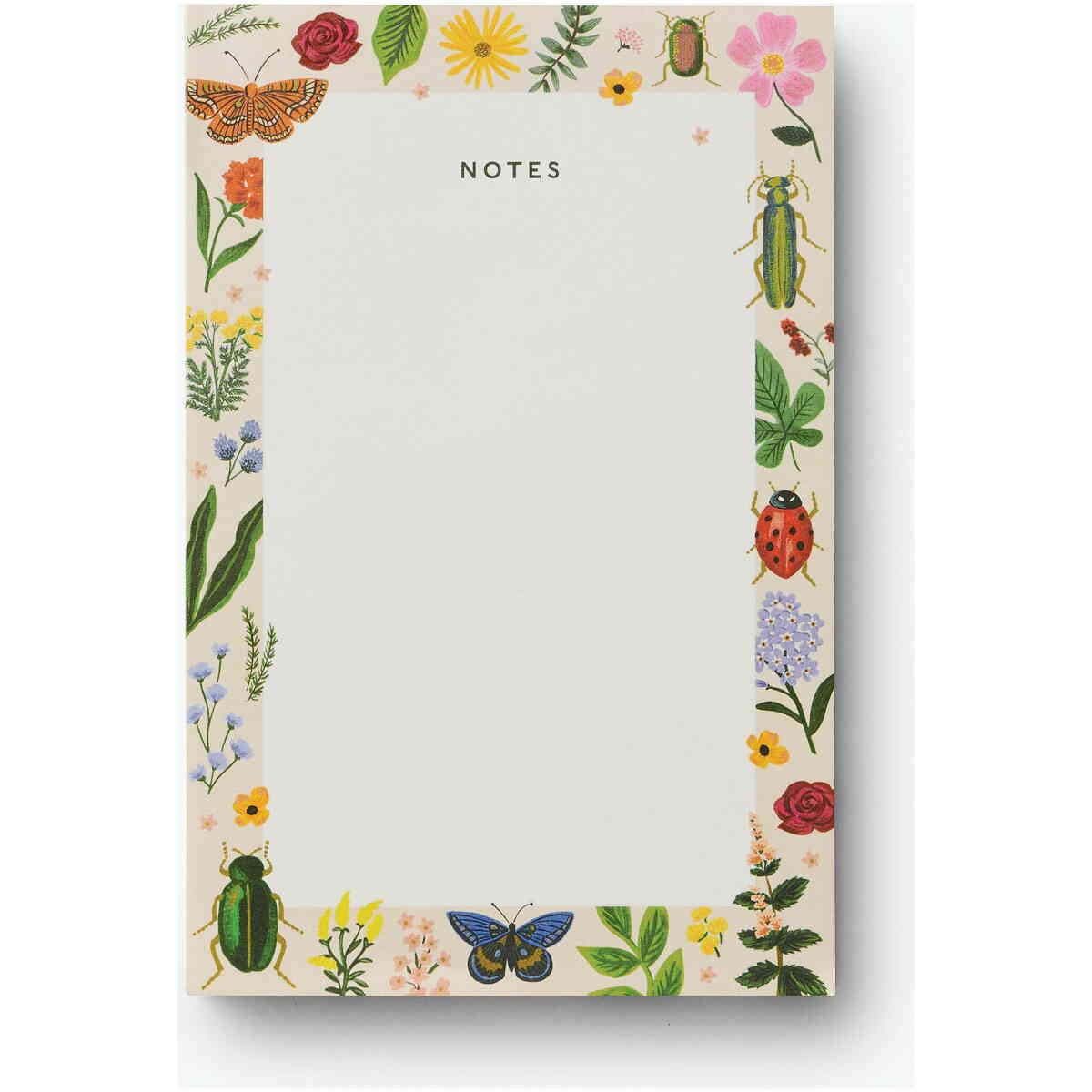 Curio Notepad