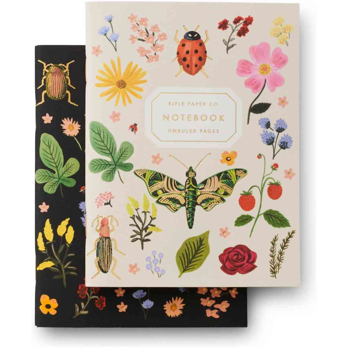 Curio Pocket Notebooks 2ST