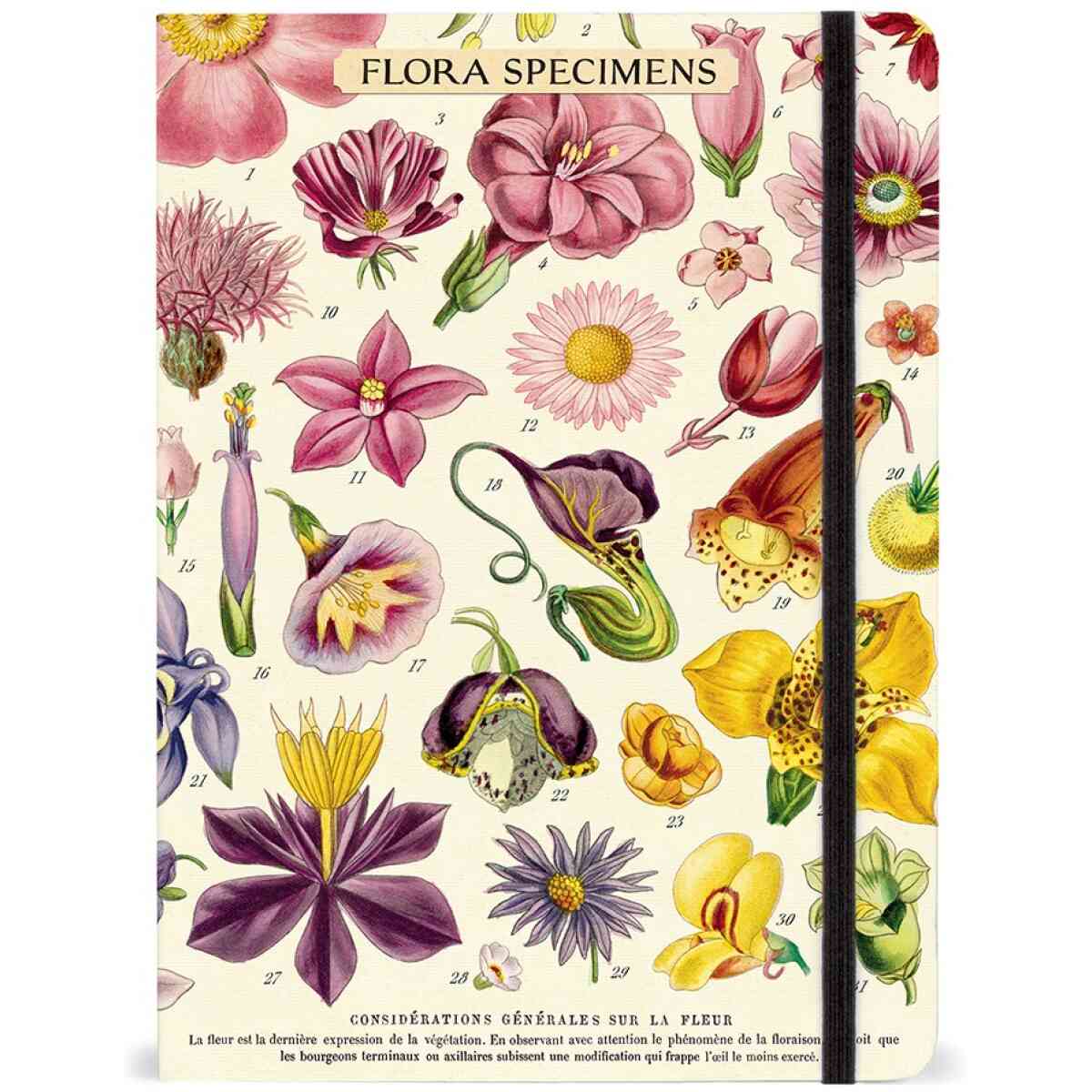 Flora Specimen Notebook 15 cm x 20 cm